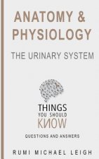 Anatomy and physiology: The urinary system