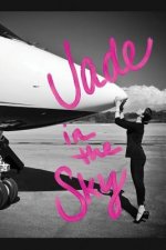 Jade in the Sky: Planes and Poetry