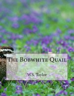 The Bobwhite Quail