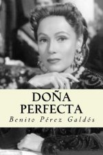 Do?a perfecta (Spanish Edition)
