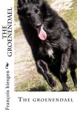 The groenendael