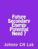 Future Secondary Energy Potential Need ?