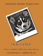 Dog Gone!: Where is GIZMO? The Horse Show true mistery.