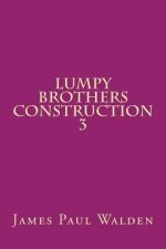 Lumpy Brothers Construction 3