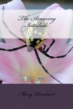 The Amazing Interlude