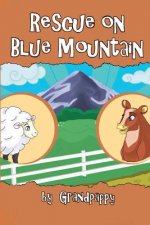 Rescue on Blue Mountain