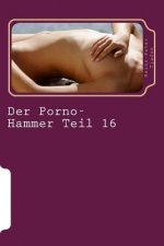 Der Porno-Hammer Teil 16: Scharfe Geschichten aus dem Love-Hotel in Playa del Carmen