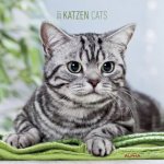 Katzen 2021 Broschürenkalender