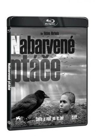 Nabarvené ptáče Blu-ray