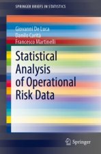 Statistical Analysis of Operational Risk Data
