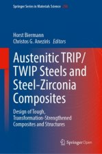 Austenitic TRIP/TWIP Steels and Steel-Zirconia Composites
