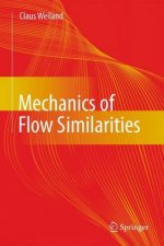 Mechanics of Flow Similarities