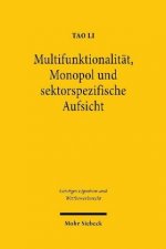 Multifunktionalitat, Monopol und sektorspezifische Aufsicht