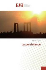 persistance