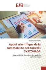 Appui scientifique de la comptabilite des societes SYSCOHADA