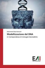 Modellizzazione del DNA