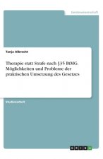 Therapie statt Strafe nach §35 BtMG. Möglichkeiten und Probleme der praktischen Umsetzung des Gesetzes