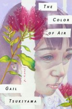 Color of Air