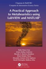 Practical Approach to Metaheuristics using LabVIEW and MATLAB (R)