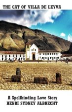 Cat of Villa de Leyva