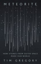 Meteorite: How Stones from Outer Space Made Our World
