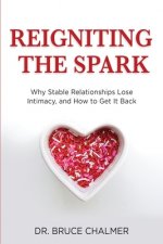Reigniting The Spark