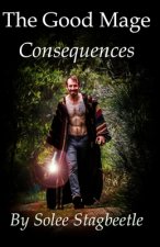 The Good Mage: Consequences