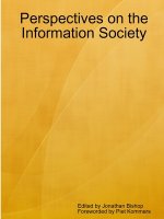 Perspectives on the Information Society