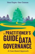 Practitioner's Guide to Data Governance