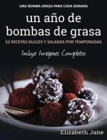 un ano de bombas de grasa