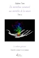 Le médium guérisseur: Comprendre et pratiquer les soins énergétiques