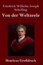 Von der Weltseele (Grossdruck)