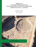 Berenguillo (T.M. Pedro Mu?oz, Ciudad Real) Nuevos datos para el estudio de la Prehistoria Reciente en Castilla - La Mancha