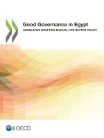 Good governance in Egypt