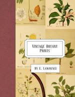 Vintage Botany Prints