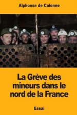 La Gr?ve des mineurs dans le nord de la France