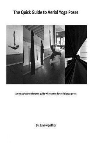 The Quick Guide to Aerial Yoga Poses