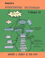 Bailey's Afrocentric Dictionary Volume 16