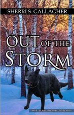 Out of the Storm: Book 2 of Search the North Country Series