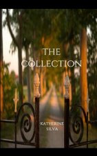 The Collection: A Novella