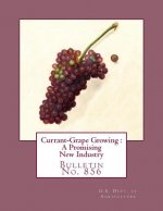 Currant-Grape Growing: A Promising New Industry: Bulletin No. 856
