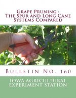 Grape Pruning: The Spur and Long Cane Systems Compared: Bulletin No. 160