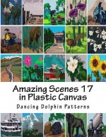 Amazing Scenes 17: In Plastic Canvas