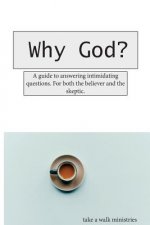 Why God?: A guide to answering those intimidating questions. For both the believer and the skeptic.
