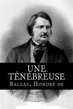 Une ténébreuse affaire