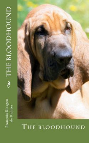 The bloodhound: The bloodhound