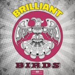 Brilliant Birds Coloring Book for Adults: 54 Bird Coloring Pages Including Parrots, Owls, Peacocks, Eagles, Ducks and More Beautiful Bird Pictures to