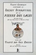 Traité Chimique Contenant Le Secret Surnaturel de la Pierre Des Sages: Suivi Du Traité Des Sel Enixes