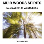 Muir Woods Spirits