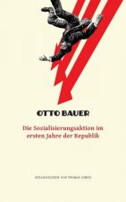 Die Sozialisierungsaktion im ersten Jahre der Republik